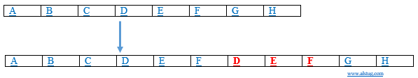 gene duplication